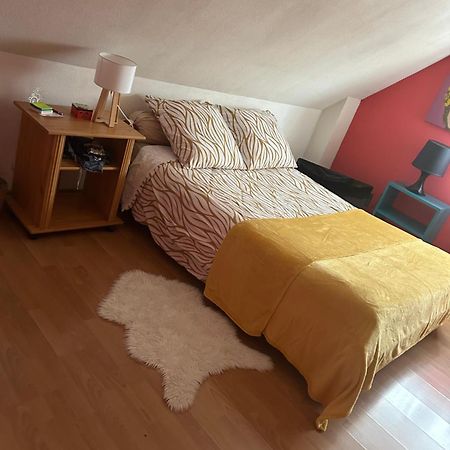 Chambre D Hote Maison Privee Kingersheim Екстериор снимка
